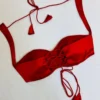 Chic Crimson Red Designer Blouse | Modern Back-Tie Corset Top for Saree & Lehenga - Image 4