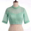 Trendy Pleated High Neck Saree Blouse with Sheer Yoke & Sleeves - Image 4