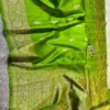 Pure Handloom Banarasi Raw Silk Saree with Antique Kaduwa Zari Work | Silk Mark Certified - Image 5