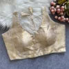 Wholesale Bollywood Sabyasachi Banarasi Silk Padded Blouse - Readymade Designer Party Wear Blouse - Image 6
