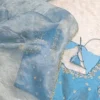 Wholesale Pure Organza Silk Saree with Zardozi Work Raw Silk Blouse | Scallop Cutwork Border Saree Manufacturer - Image 2