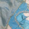 Wholesale Pure Organza Silk Saree with Zardozi Work Raw Silk Blouse | Scallop Cutwork Border Saree Manufacturer - Image 3